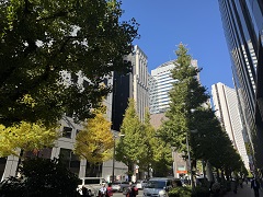 鉄道部品　国鉄　金属製　行き先板　表(新宿↔南小谷)　裏(新宿↔松本) 鉄道部品 国鉄 金属製 行き先板 表(新宿↔南小谷) 裏(新宿↔松本